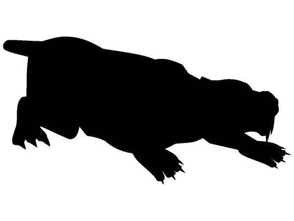 Животные 347