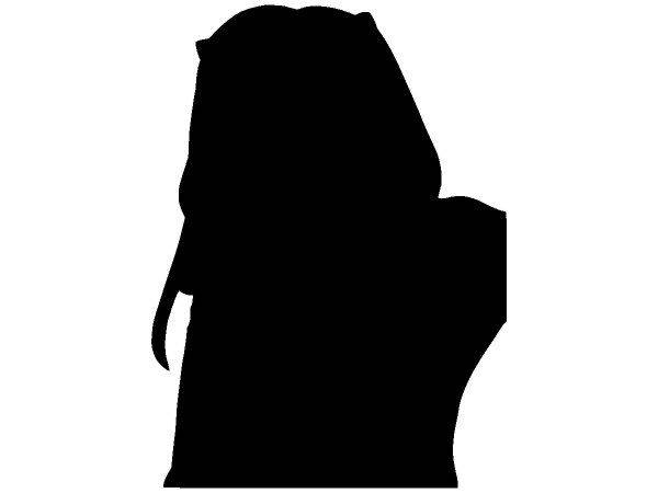 Животные 3735 Животные 3735