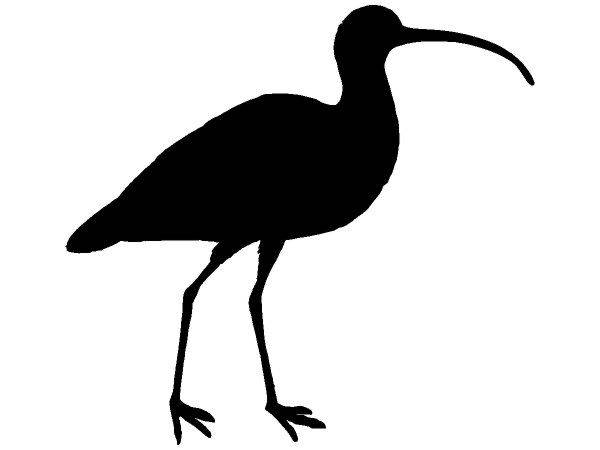 Животные 2781 Животные 2781