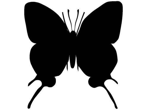 Животные 2696