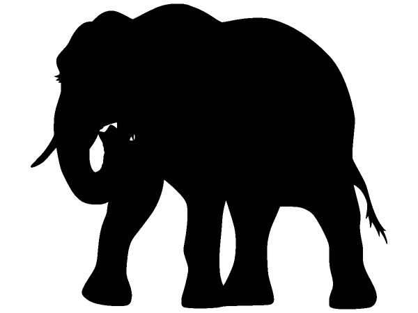 Животные 963