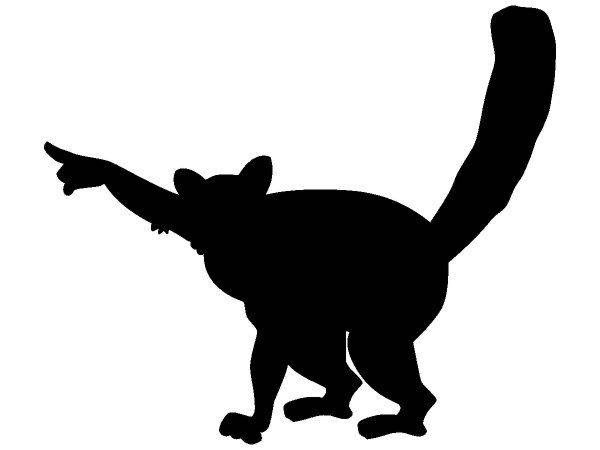 Животные 3031 Животные 3031