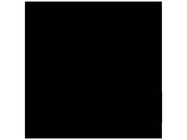 Животные 2376