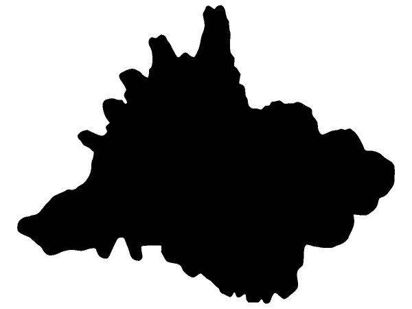 Животные 3077