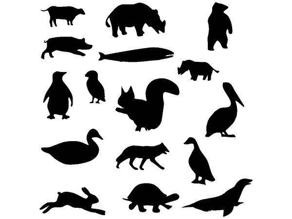 Животные 2712