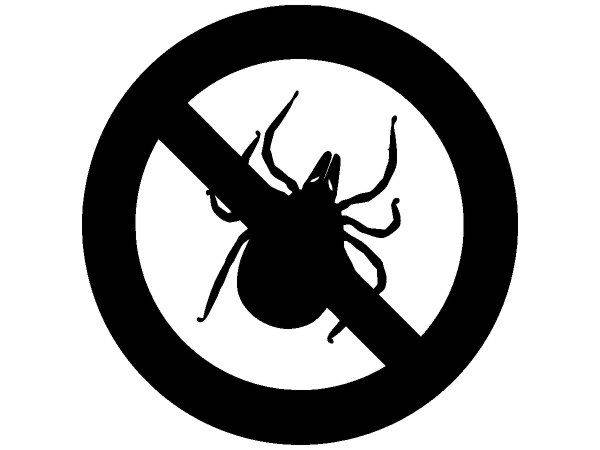 Животные 3196 Животные 3196