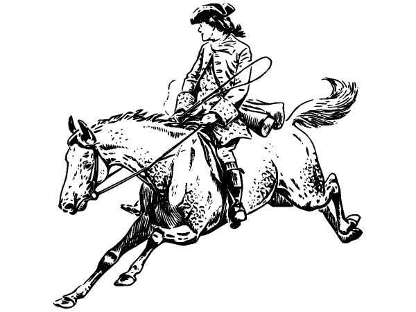 Животные 951