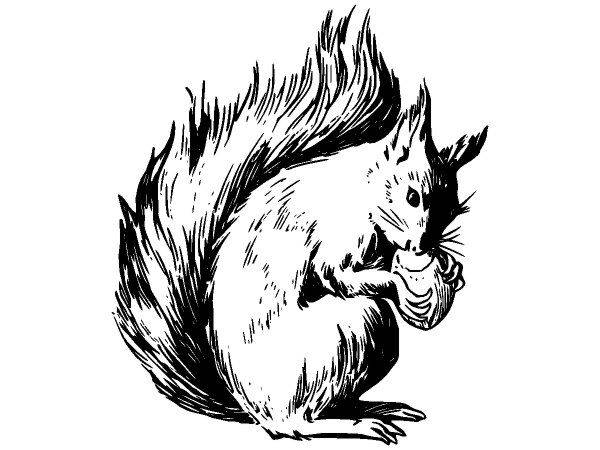 Животные 2687 Животные 2687