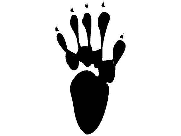 Животные 1236 Животные 1236