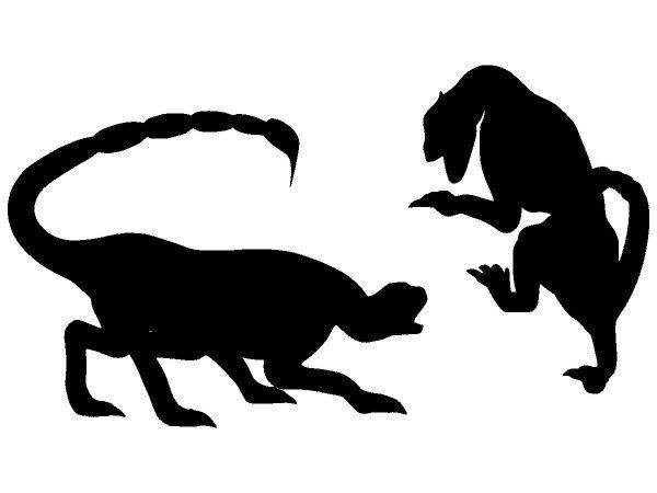 Животные 3494 Животные 3494