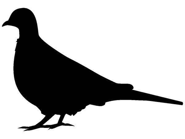 Животные 2367