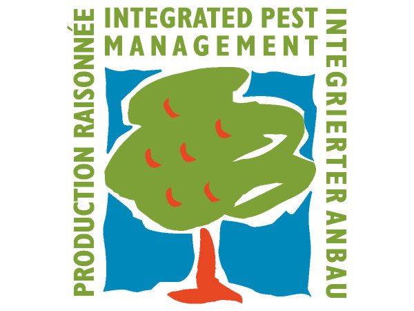 Raisonnee Production