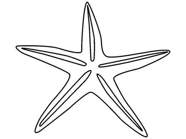 Животные 1505