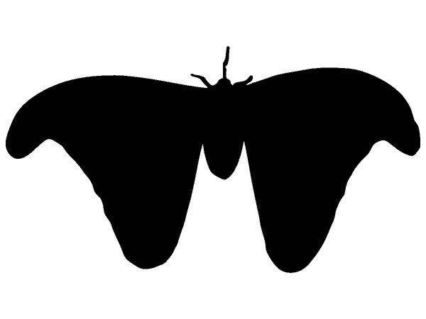 Животные 4184